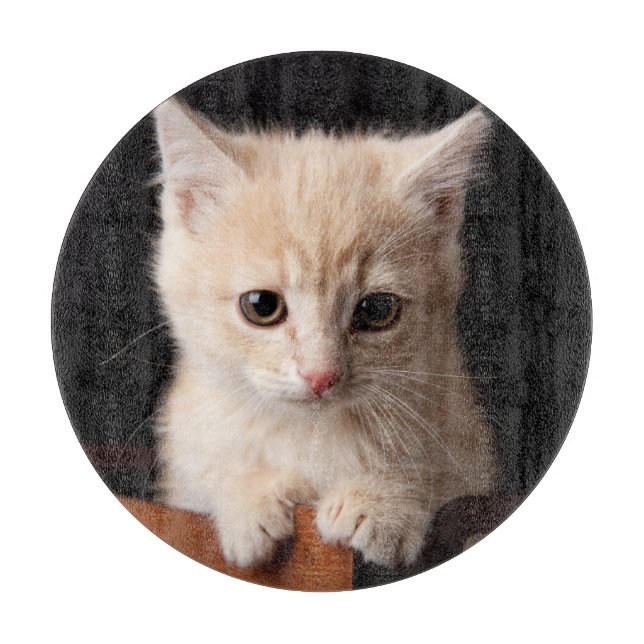 Cutest Baby Animals | Ginger Kitten Cutting Board (Front)