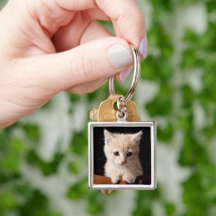 Cutest Baby Animals   Ginger Kitten Key Ring