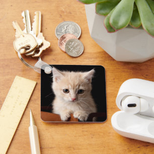 Cutest Baby Animals Ginger Kitten Key Ring