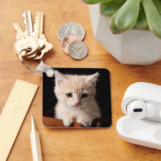 Cutest Baby Animals | Ginger Kitten Key Ring (Desk)