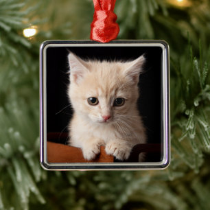 Cutest Baby Animals   Ginger Kitten Metal Tree Decoration