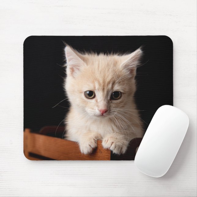 Cutest Baby Animals | Ginger Kitten Mouse Mat (With Mouse)