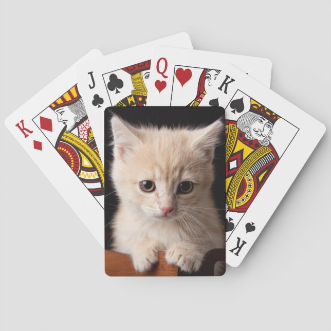 Cutest Baby Animals | Ginger Kitten Playing Cards (Back)