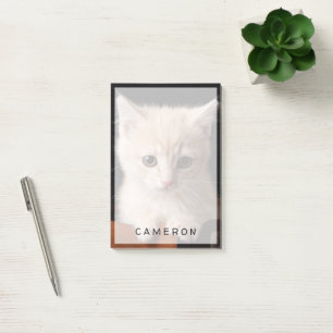Cutest Baby Animals   Ginger Kitten Post-it Notes