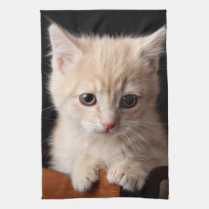 Cutest Baby Animals   Ginger Kitten Tea Towel