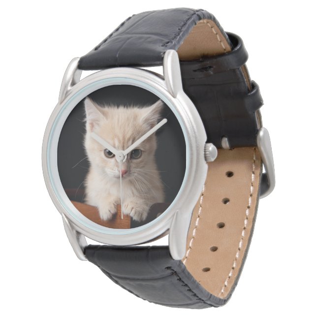 Cutest Baby Animals | Ginger Kitten Watch (Angled)