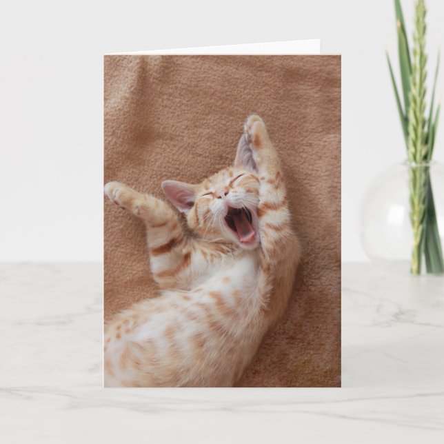 Cutest Baby Animals | Ginger Kitten Yawning Card (Front)