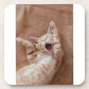 Cutest Baby Animals Ginger Kitten Yawning Coaster