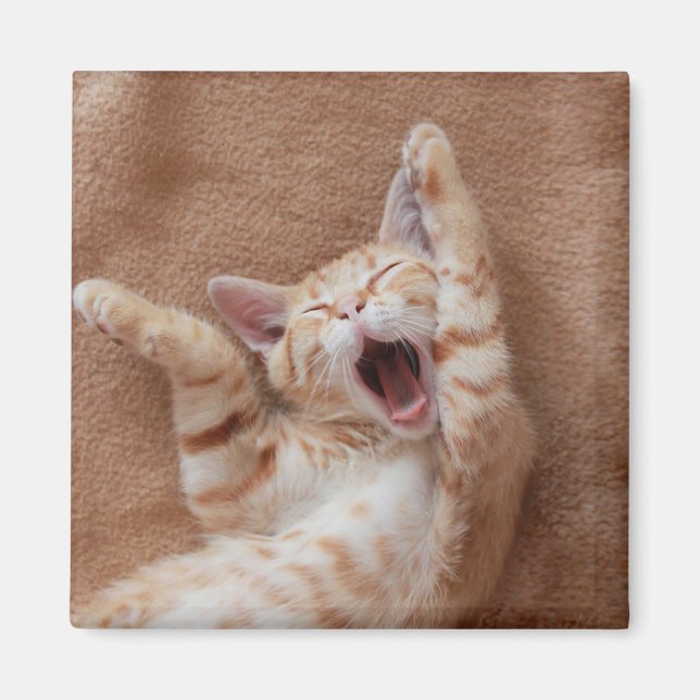 Cutest Baby Animals | Ginger Kitten Yawning Magnet (Front)