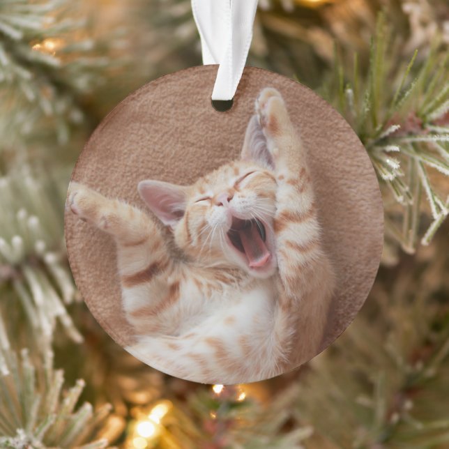 Cutest Baby Animals | Ginger Kitten Yawning Ornament (Tree)