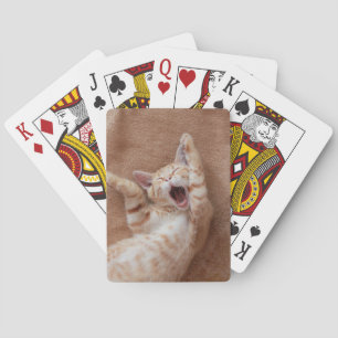 Cutest Baby Animals   Ginger Kitten Yawning Playing Cards