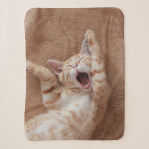 Cutest Baby Animals   Ginger Kitten Yawning Sherpa Blanket