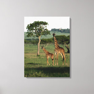 Cutest Baby Animals Giraffe Calf & Mama Canvas Print