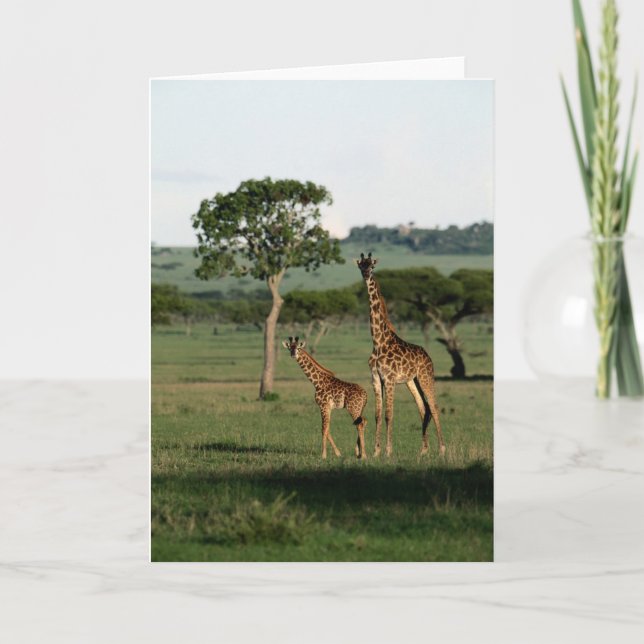Cutest Baby Animals | Giraffe Calf & Mama Card (Front)
