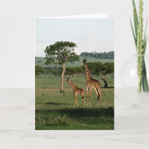 Cutest Baby Animals   Giraffe Calf & Mama Card
