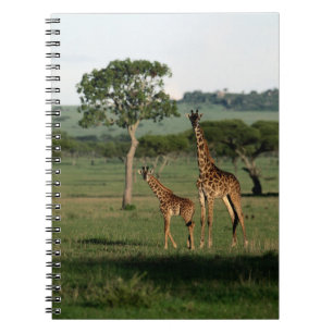 Cutest Baby Animals   Giraffe Calf & Mama Notebook