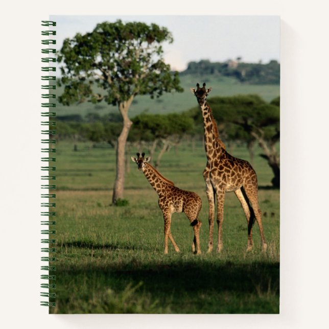 Cutest Baby Animals | Giraffe Calf & Mama Notebook (Front)