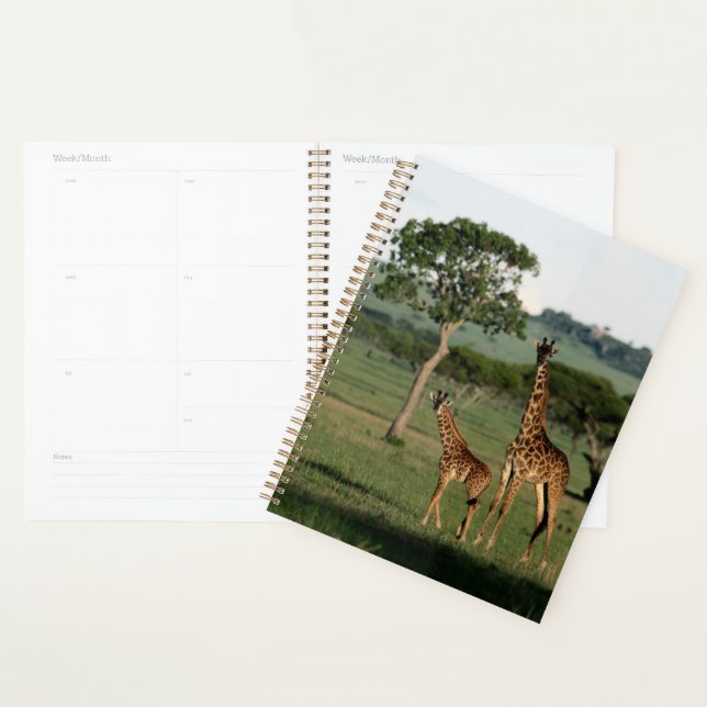 Cutest Baby Animals | Giraffe Calf & Mama Planner (Display)