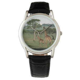 Cutest Baby Animals   Giraffe Calf & Mama Watch