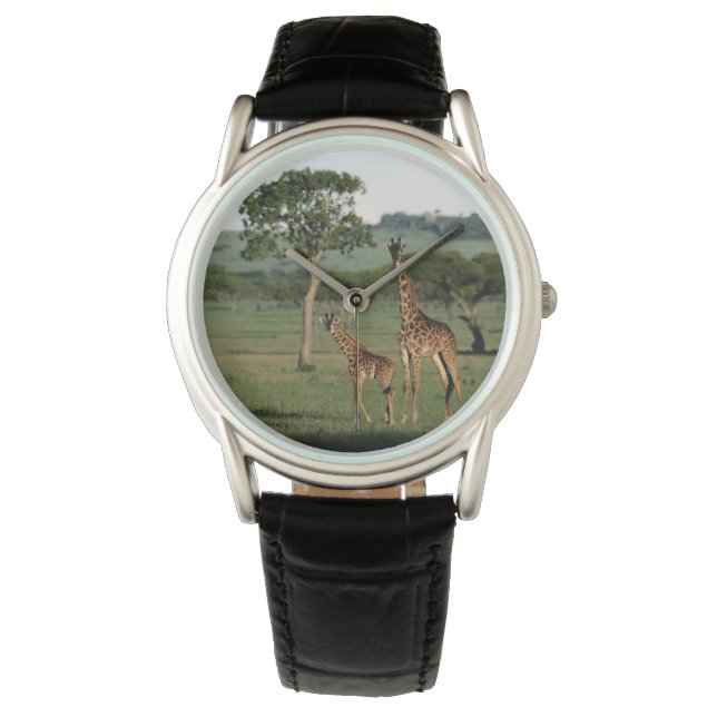 Cutest Baby Animals | Giraffe Calf & Mama Watch (Front)