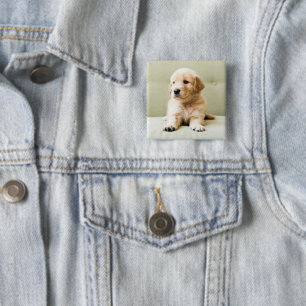 Cutest Baby Animals   Golden Retriever Puppy 15 Cm Square Badge