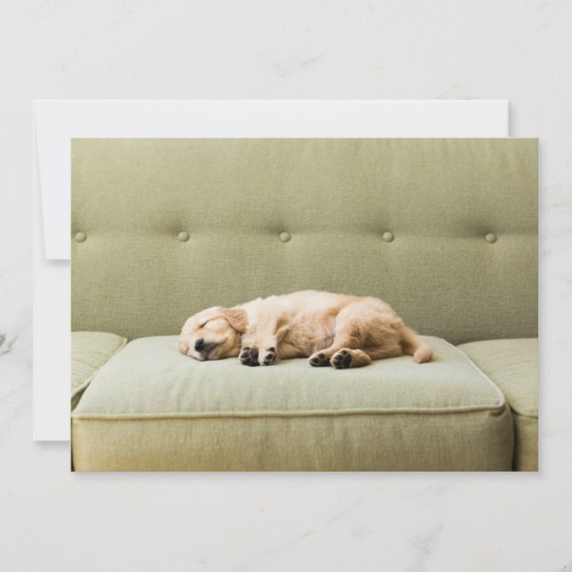 Cutest Baby Animals | Golden Retriever Puppy 2 Thank You Card (Front)
