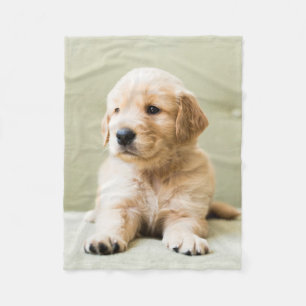 Cutest Baby Animals   Golden Retriever Puppy Fleece Blanket