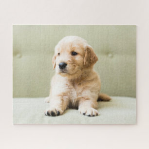 Cutest Baby Animals   Golden Retriever Puppy Jigsaw Puzzle