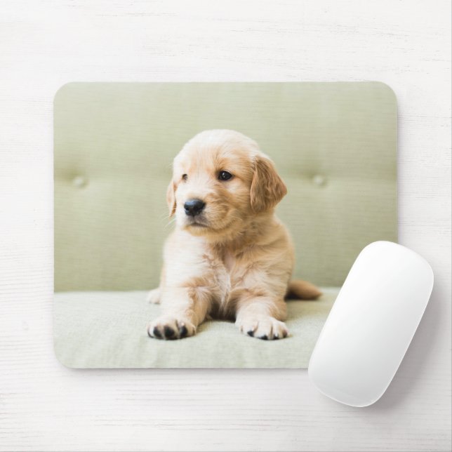 Cutest Baby Animals | Golden Retriever Puppy Mouse Mat (With Mouse)