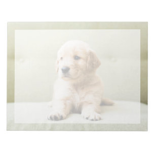 Cutest Baby Animals   Golden Retriever Puppy Notepad