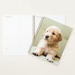Cutest Baby Animals Golden Retriever Puppy Planner