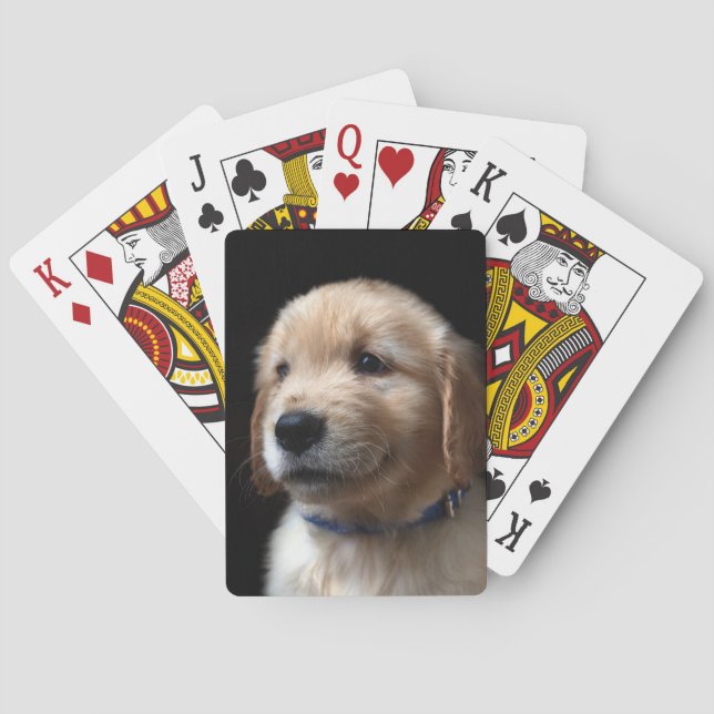 Cutest Baby Animals | Golden Retriever Puppy Playing Cards (Back)