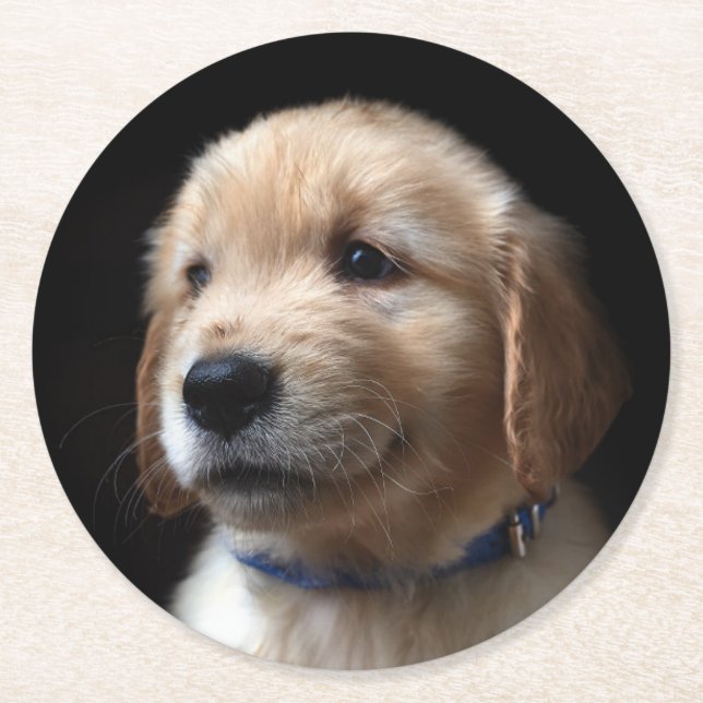 Cutest Baby Animals | Golden Retriever Puppy Round Paper Coaster (Front)