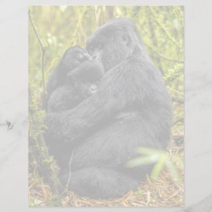 Cutest Baby Animals Gorilla & Baby