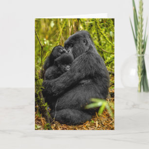 Cutest Baby Animals Gorilla & Baby Card