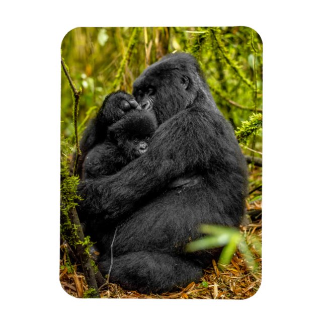 Cutest Baby Animals | Gorilla & Baby Magnet (Vertical)
