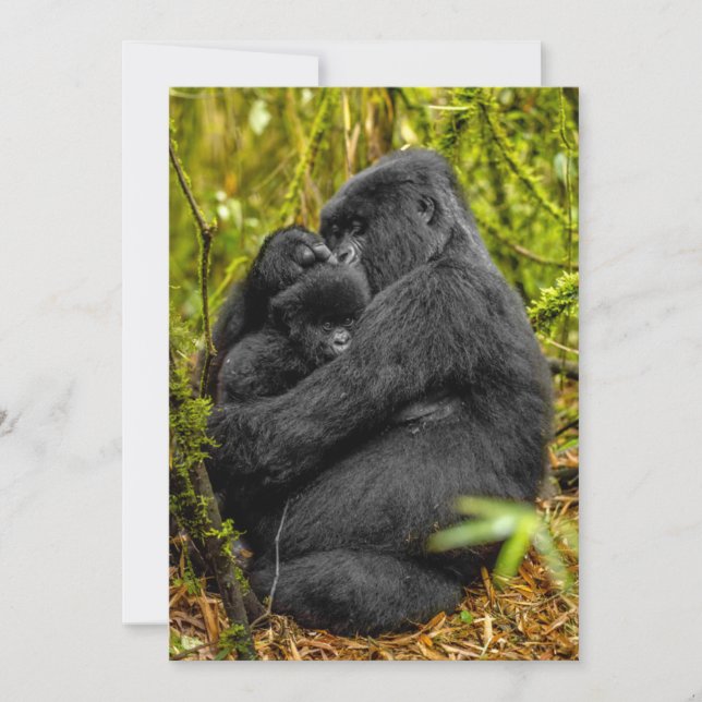 Cutest Baby Animals | Gorilla & Baby Thank You Card (Front)