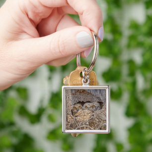 Cutest Baby Animals   Great Horned Chicks Key Ring