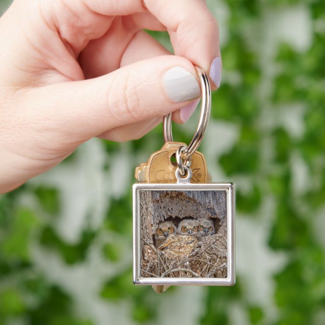 Cutest Baby Animals | Great Horned Chicks Key Ring (Hand)