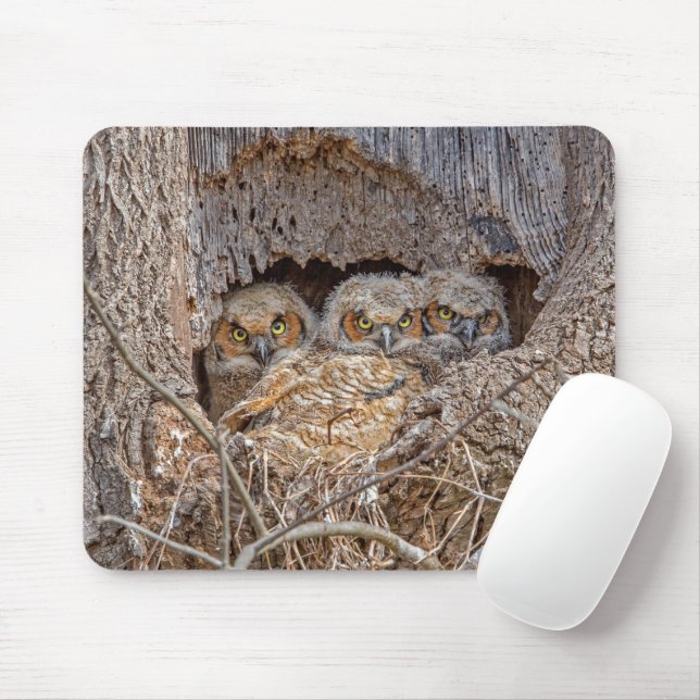 Cutest Baby Animals | Great Horned Chicks Mouse Mat (With Mouse)