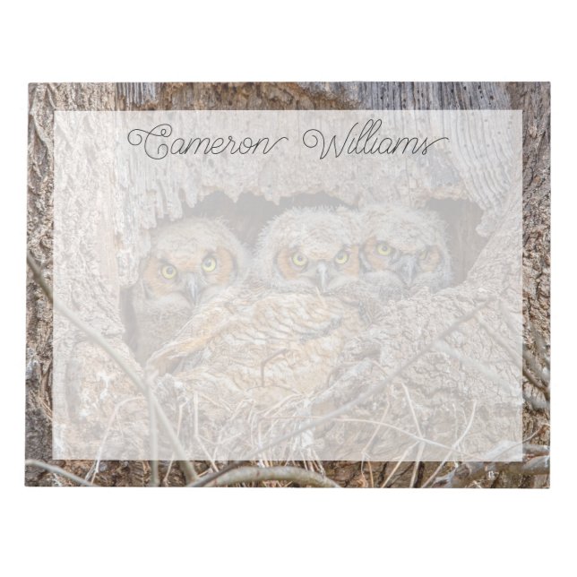 Cutest Baby Animals | Great Horned Chicks Notepad (Front)