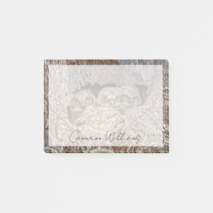 Cutest Baby Animals Great Horned Chicks Post-it Notes