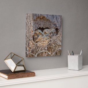 Cutest Baby Animals   Great Horned Chicks Square Wall Clock