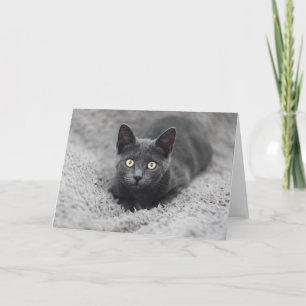 Cutest Baby Animals Grey Cat Card