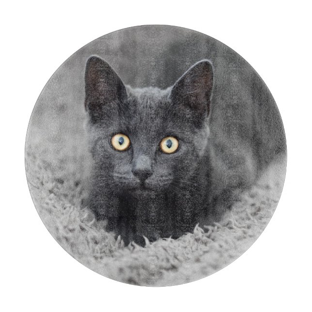 Cutest Baby Animals | Grey Cat Cutting Board (Front)