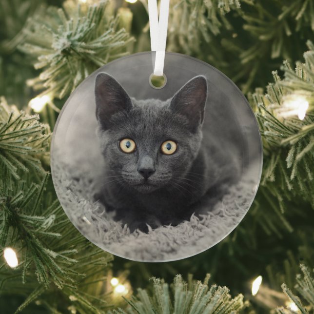 Cutest Baby Animals | Grey Cat Glass Tree Decoration (Insitu)