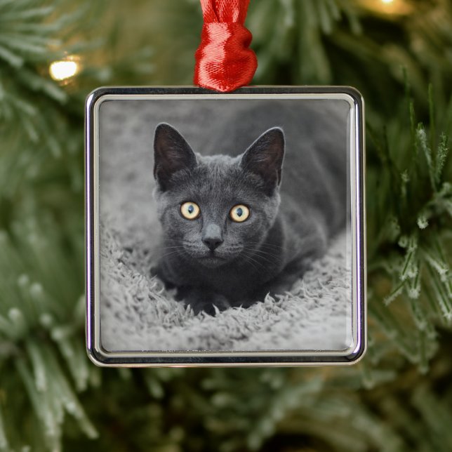 Cutest Baby Animals | Grey Cat Metal Tree Decoration (Tree)