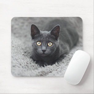 Cutest Baby Animals   Grey Cat Mouse Mat