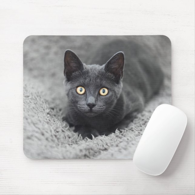 Cutest Baby Animals | Grey Cat Mouse Mat (With Mouse)