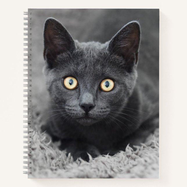 Cutest Baby Animals | Grey Cat Notebook (Front)